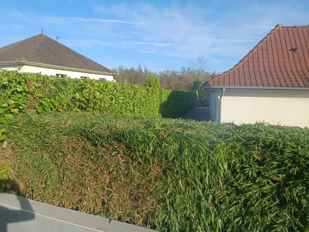 Realisation-Mat-Conception