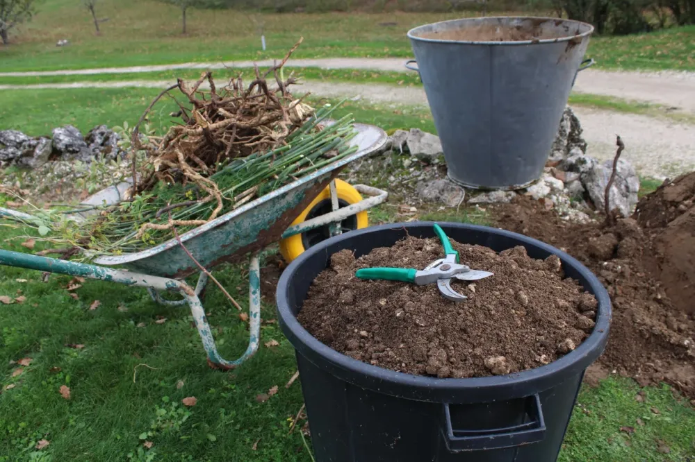 Entretien de jardin à Saint-Josse